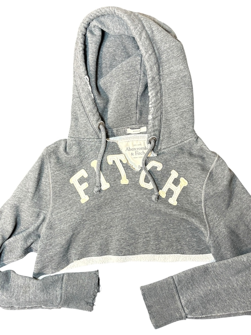 Abercrombie & Fitch Gray Cropped Hoodie Small Y2K Logo Sweatshirt